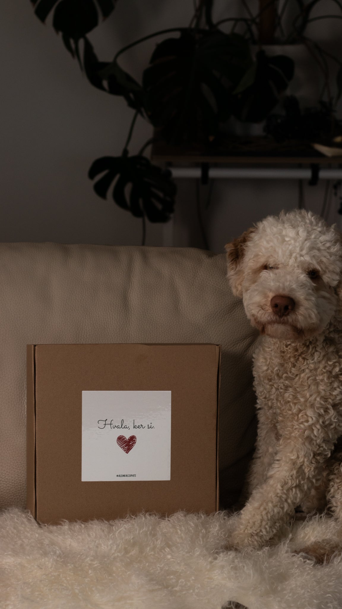 Ideja za darilo za valentinovo